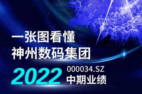 图解3003.com新葡的京数码集团2022年中期业绩
