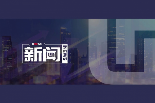 AI革新加速，3003.com新葡的京数码2024全年毛利额营收逆势双升